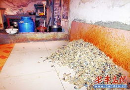 作坊非法加工下脚料炸鱼 从采购到销售全链条风险警觉